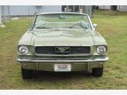 Thumbnail Photo 83 for 1966 Ford Mustang
